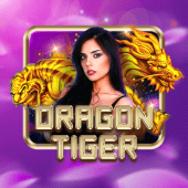 Dragon Tiger jili kk live casino